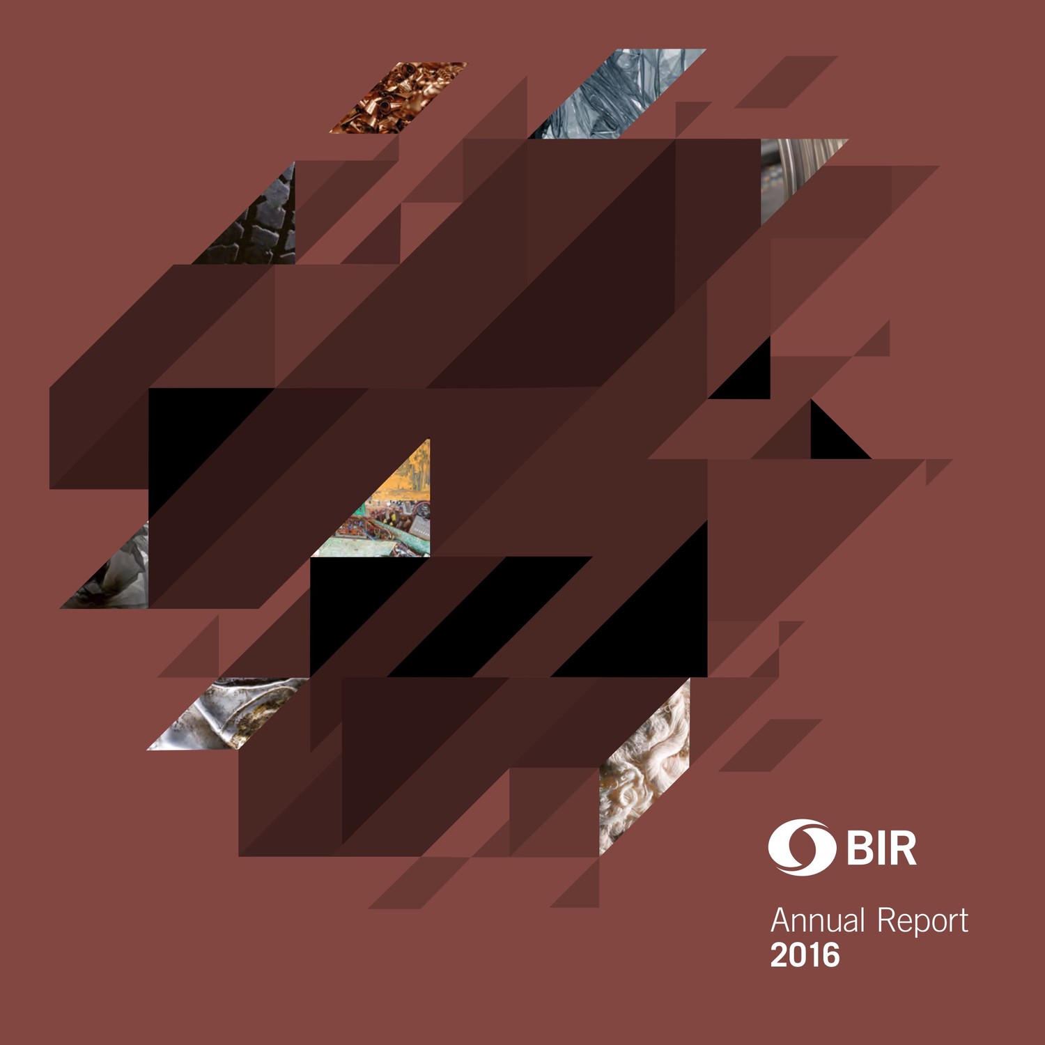 BIR 2016年度报告