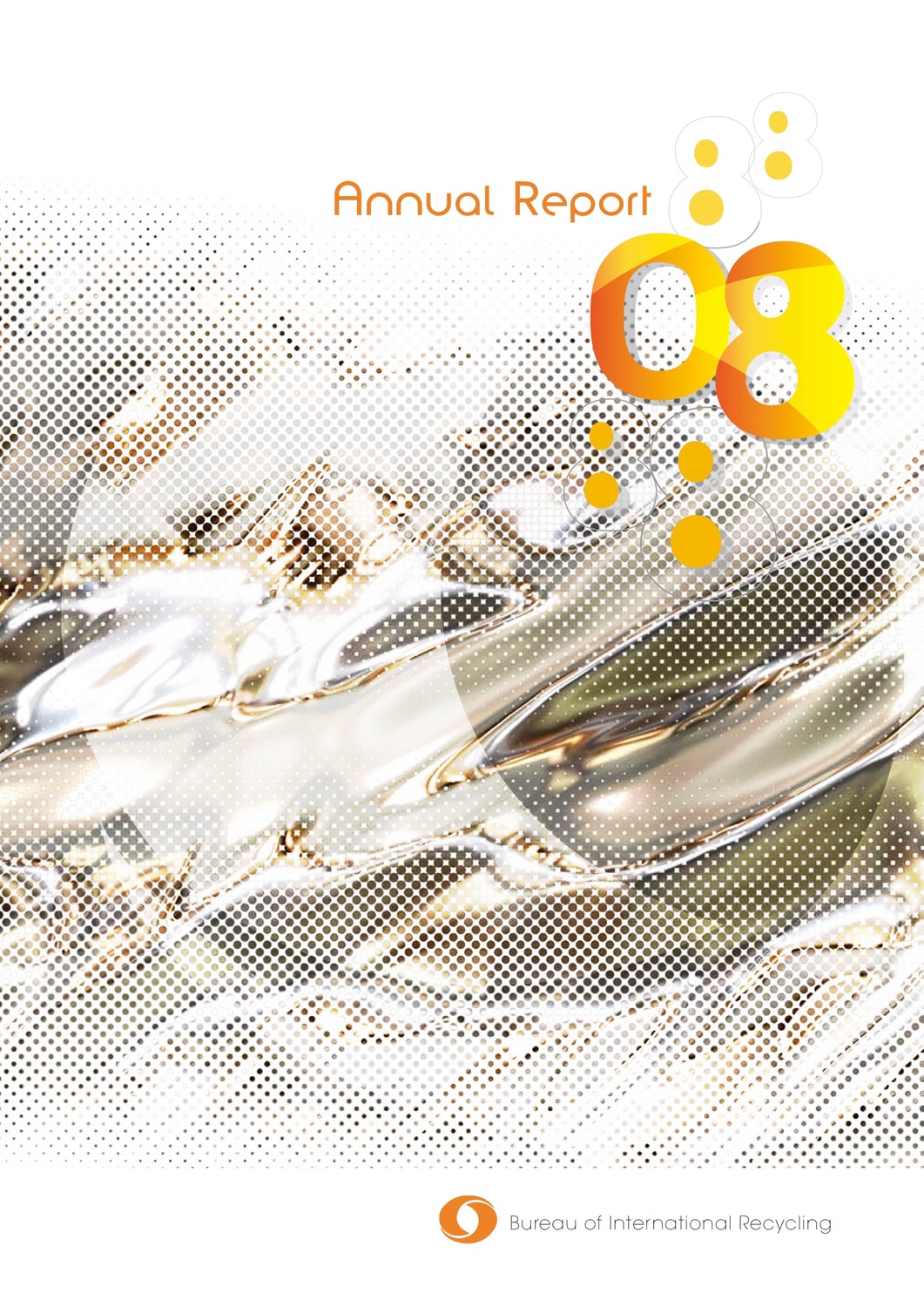 BIR 2008年度报告