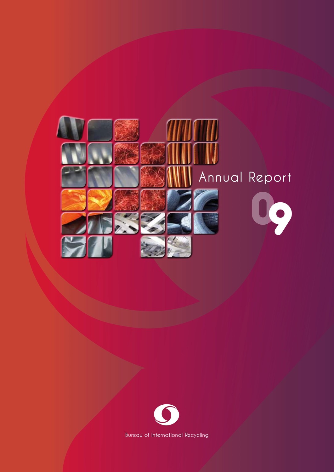 BIR 2009年度报告
