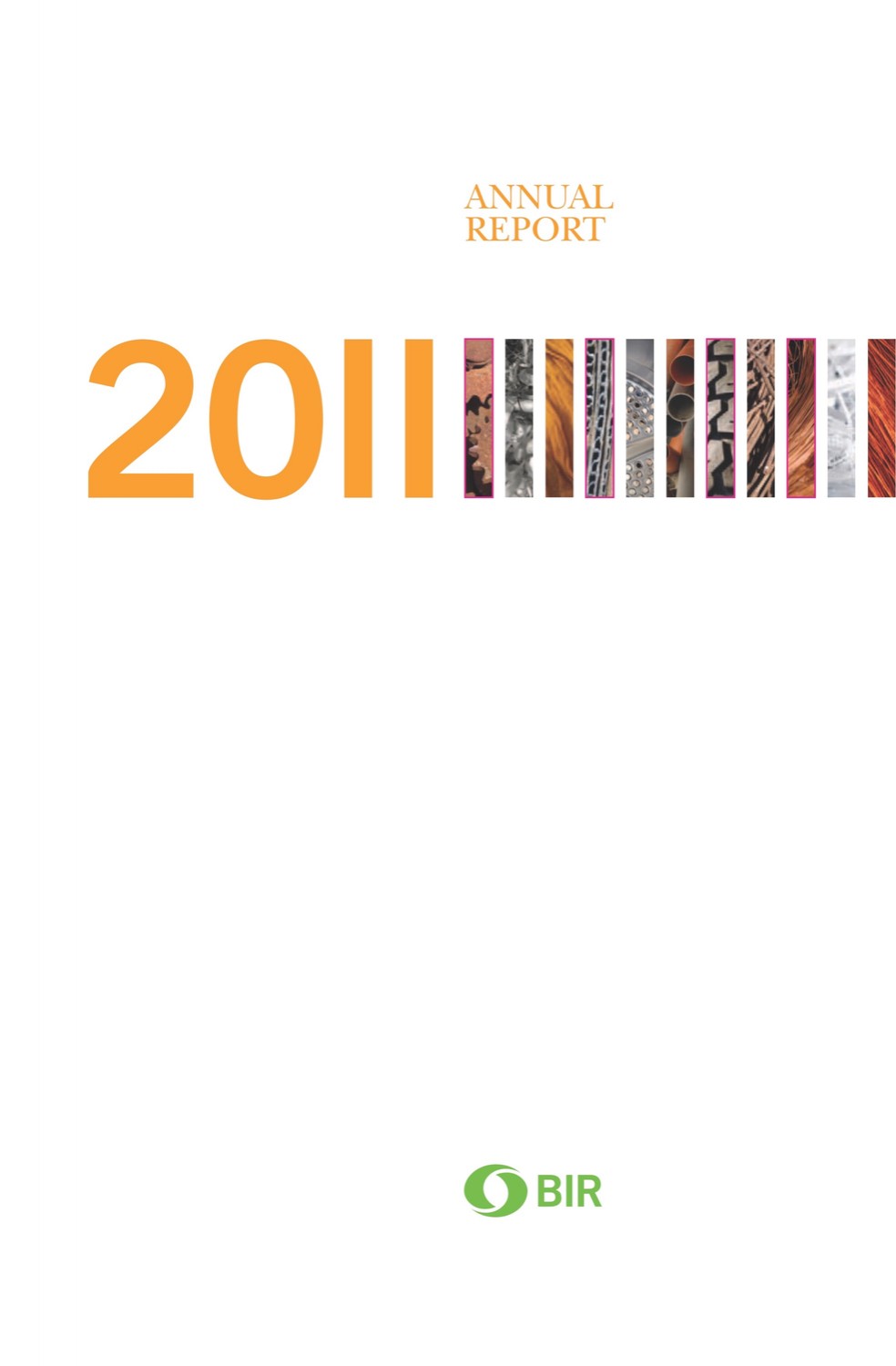 BIR 2011年度报告