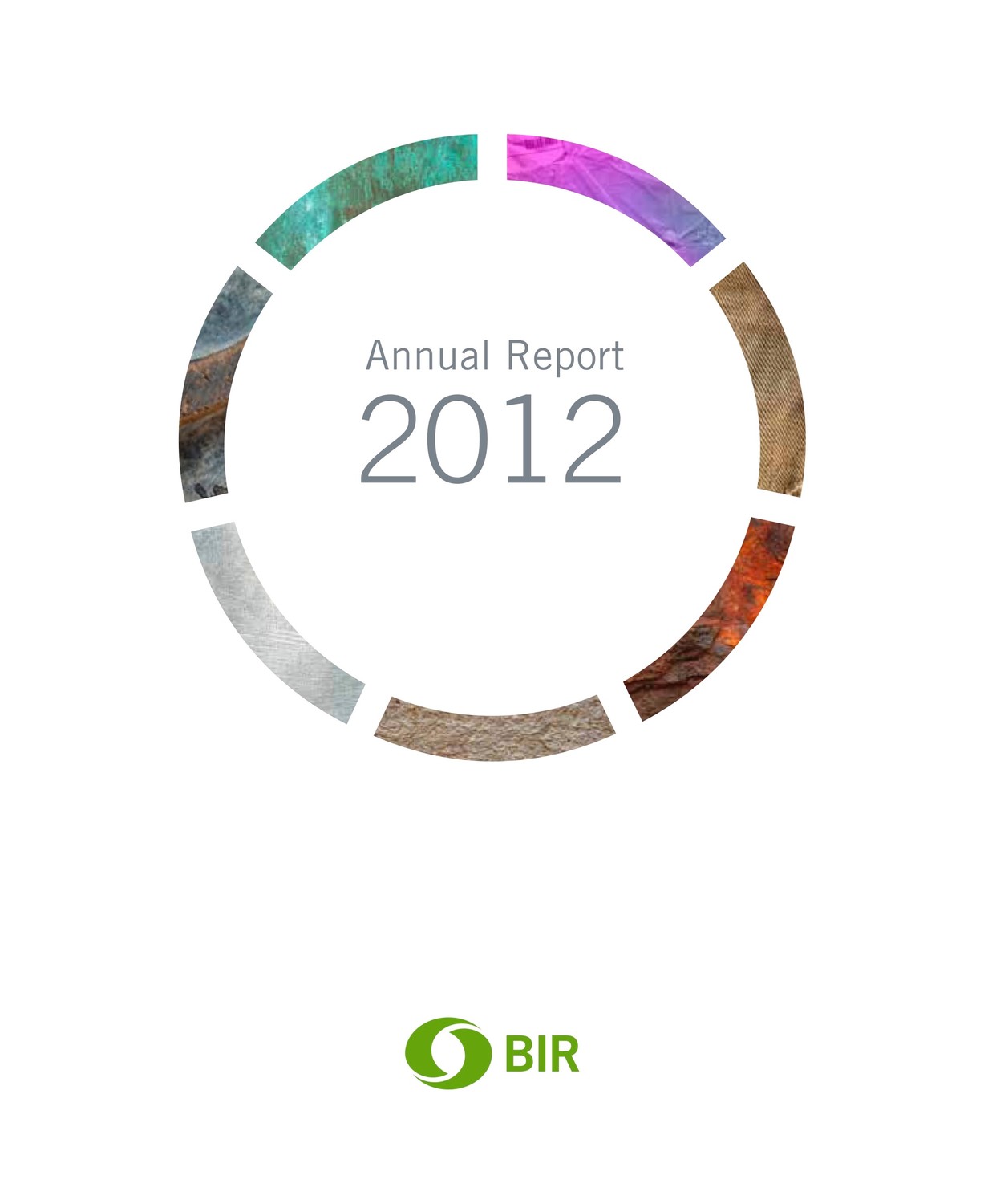 BIR 2012年度报告