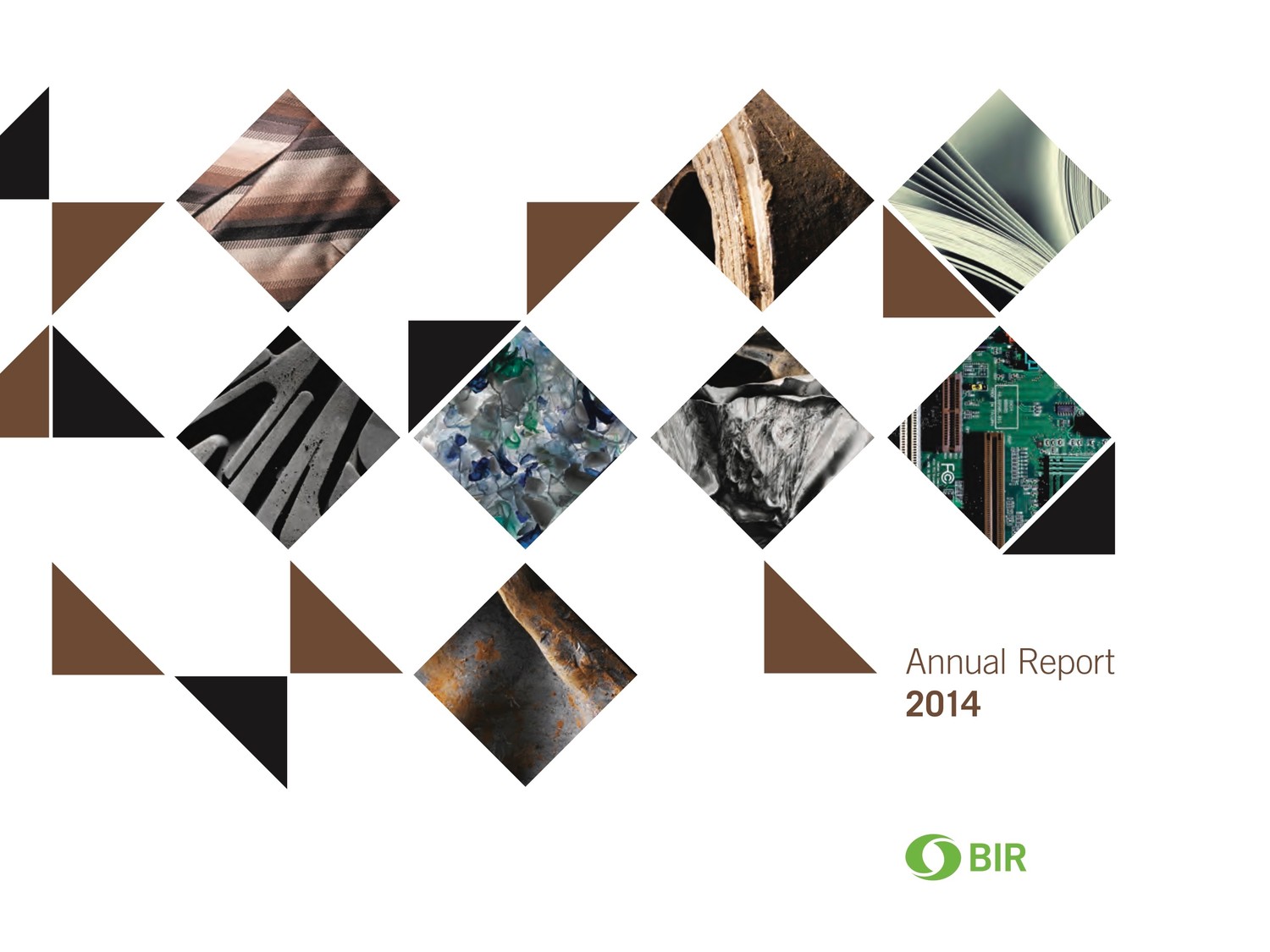 BIR 2014年度报告