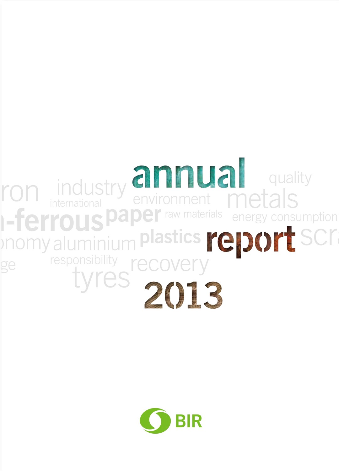 BIR 2013年度报告